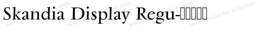 Skandia Display Regu字体转换